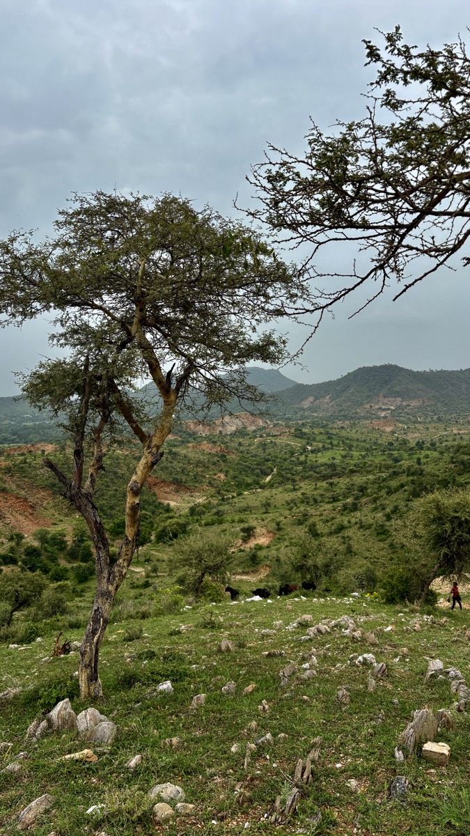 Trekking